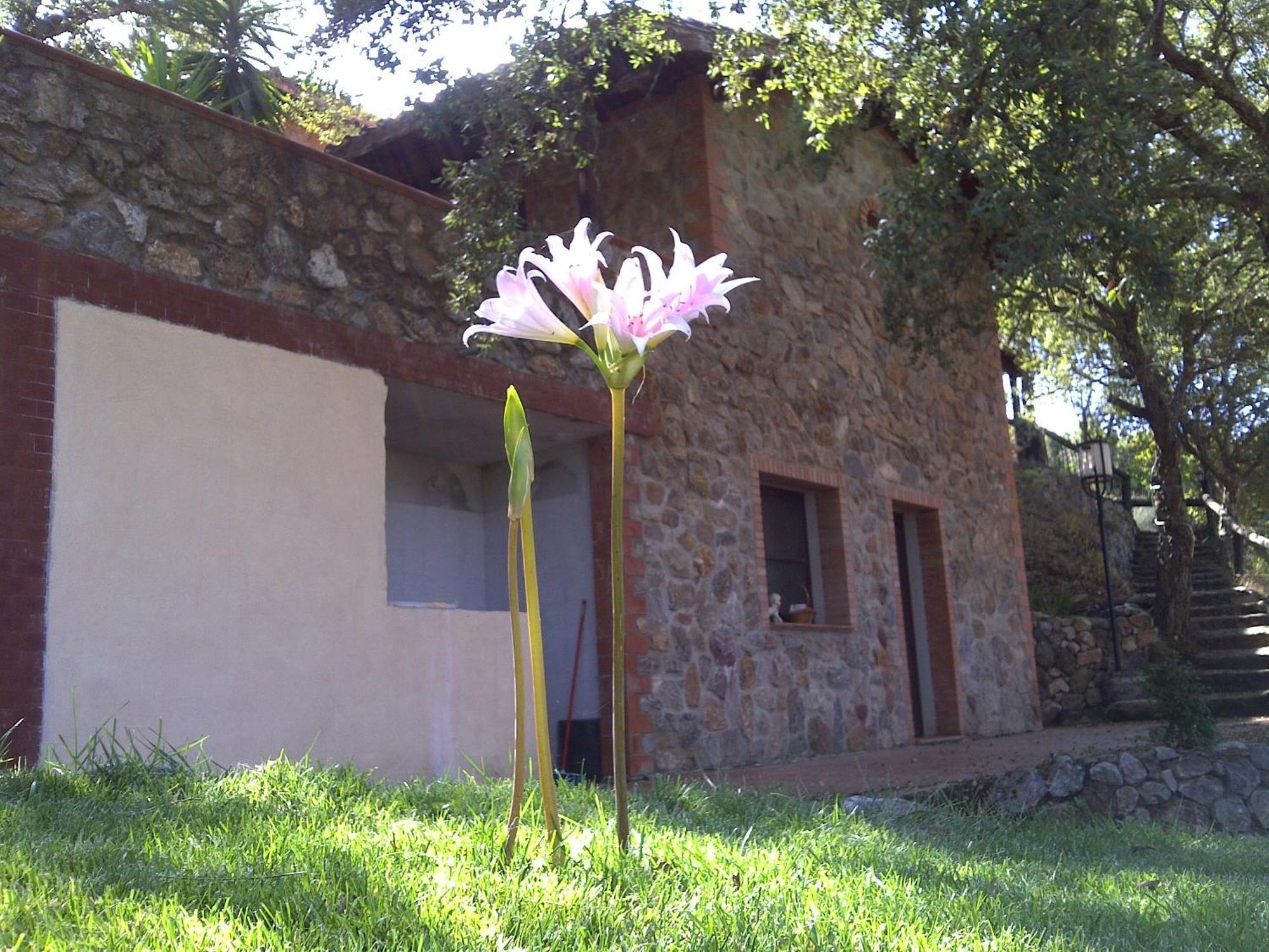 Casa rural La Quercia *
