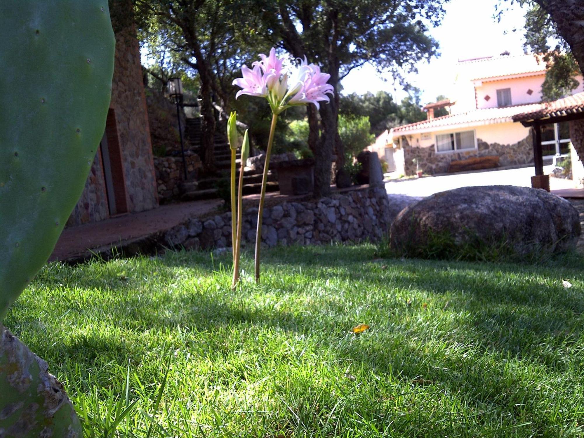 Casa rural La Quercia Arbus